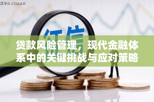 靖西贷款风险管理，现代金融体系中的关键挑战与应对策略