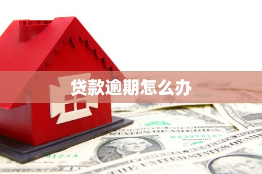 小金贷款逾期怎么办