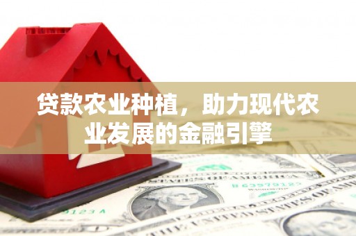 台西贷款农业种植，助力现代农业发展的金融引擎