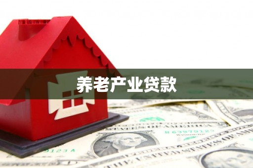 蒲江养老产业贷款