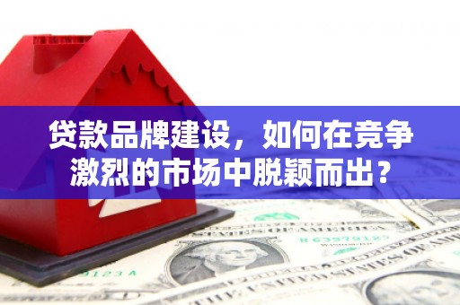 仑背贷款品牌建设，如何在竞争激烈的市场中脱颖而出？