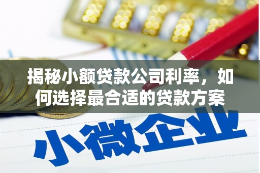 即墨揭秘小额贷款公司利率，如何选择最合适的贷款方案