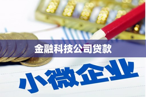 乐亭金融科技公司贷款