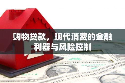 纳雍购物贷款，现代消费的金融利器与风险控制