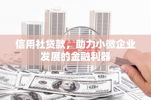 平阴信用社贷款，助力小微企业发展的金融利器