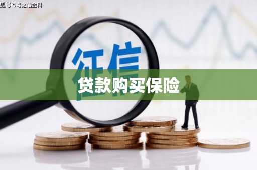 当阳贷款购买保险
