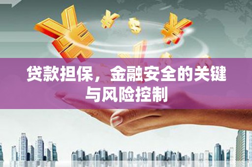 陕西贷款担保，金融安全的关键与风险控制