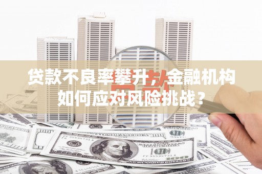 罗城贷款不良率攀升，金融机构如何应对风险挑战？