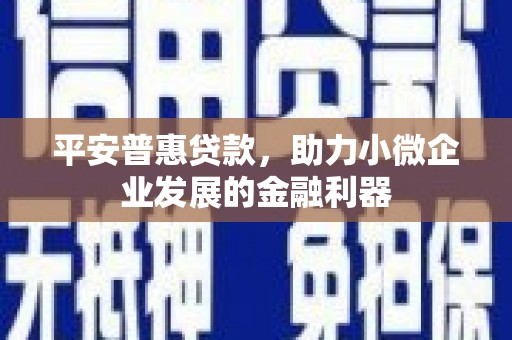 白朗平安普惠贷款，助力小微企业发展的金融利器