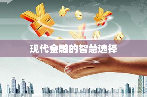 理县现代金融的智慧选择