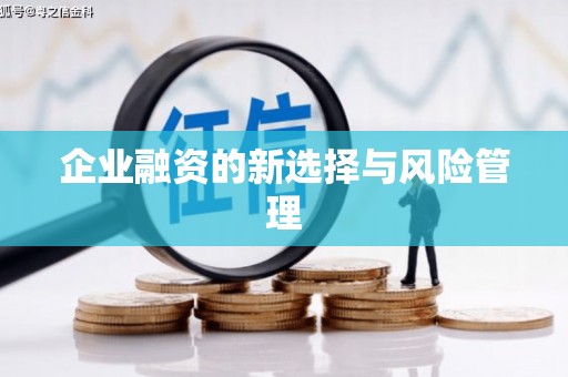 乌当企业融资的新选择与风险管理