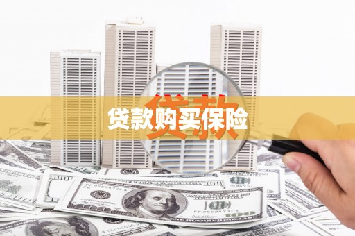 旬阳贷款购买保险