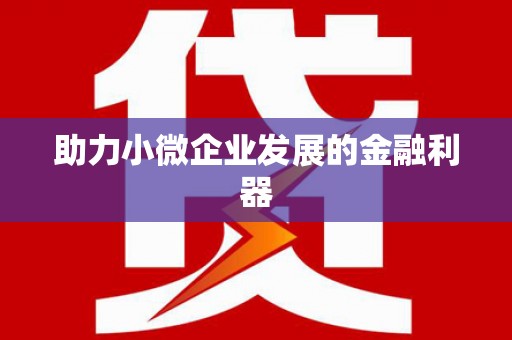 吴忠助力小微企业发展的金融利器